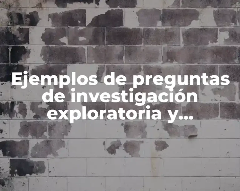 Ejemplos de preguntas de investigación exploratoria y Significado