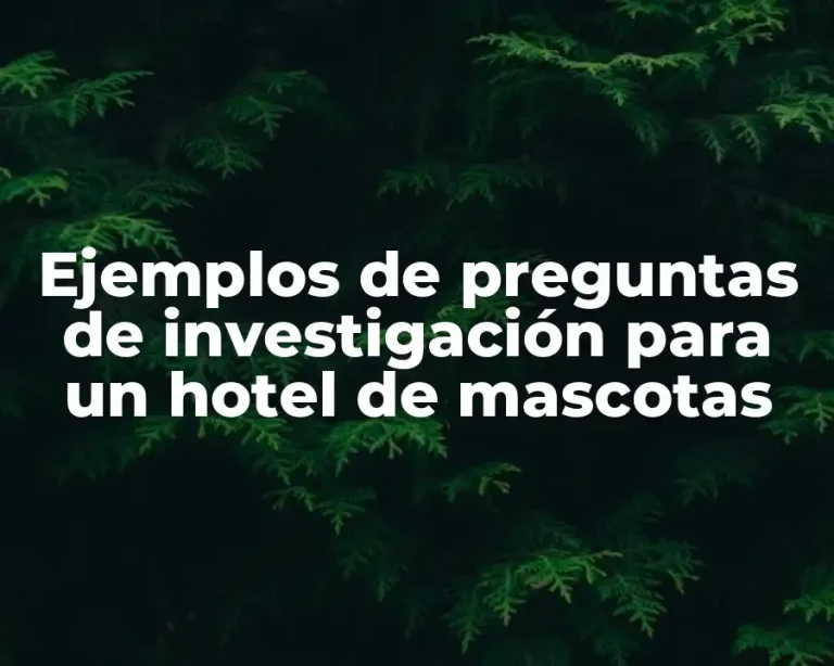 Ejemplos de preguntas de investigación para un hotel de mascotas