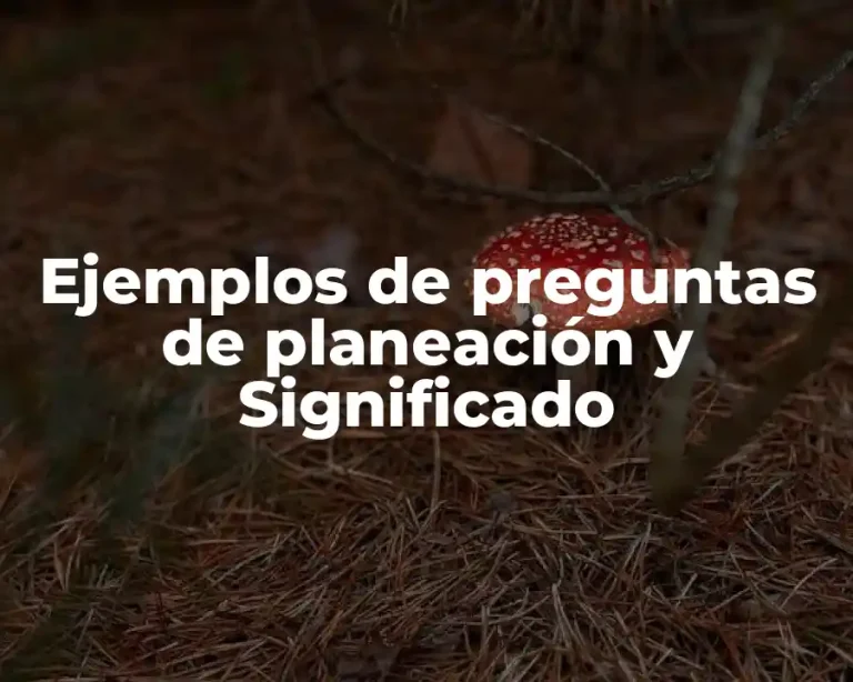 Ejemplos de preguntas de planeación y Significado