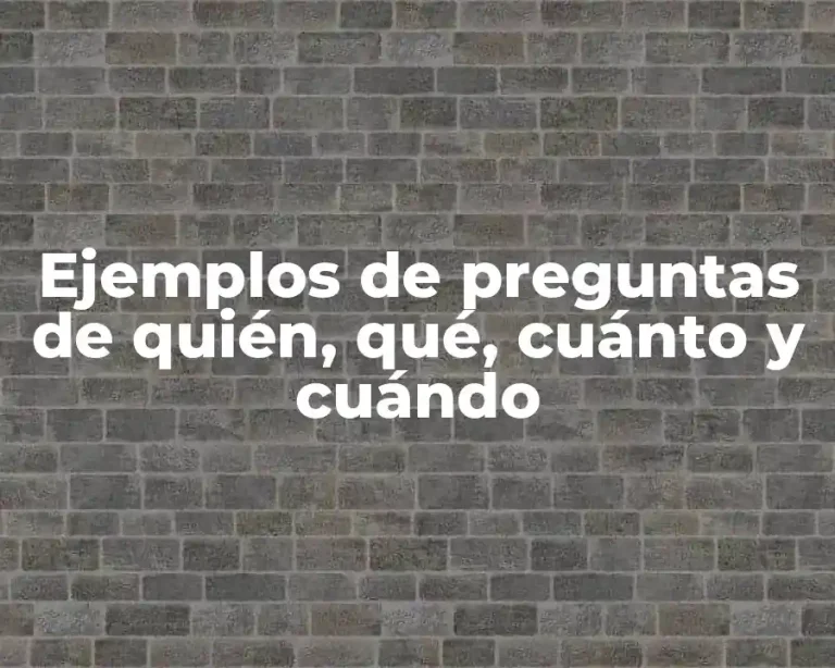 Ejemplos de preguntas de quién, qué, cuánto y cuándo