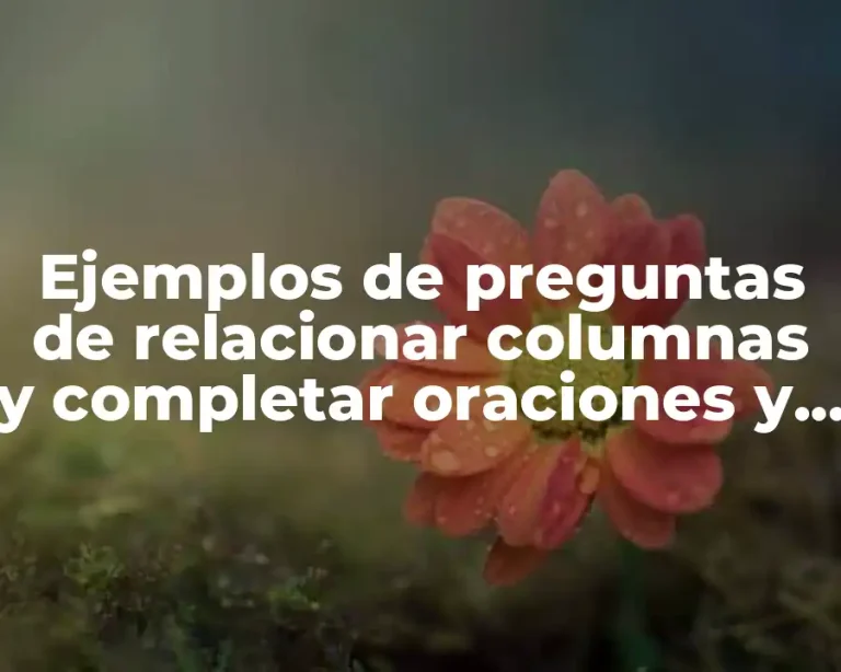 Ejemplos de preguntas de relacionar columnas y completar oraciones y Significado