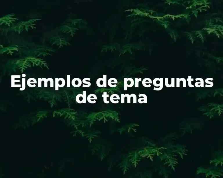 Ejemplos de preguntas de tema