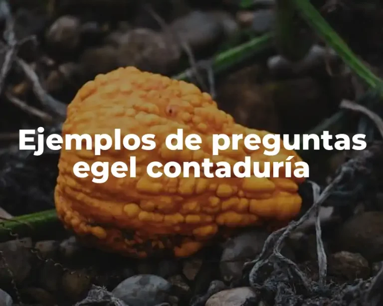 Ejemplos de preguntas egel contaduría