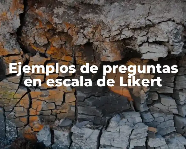 Ejemplos de preguntas en escala de Likert