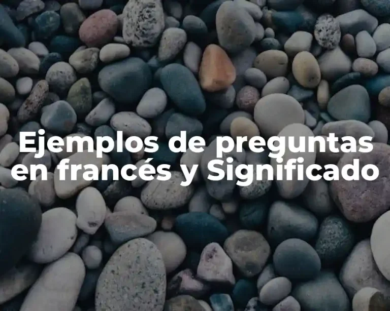 Ejemplos de preguntas en francés y Significado