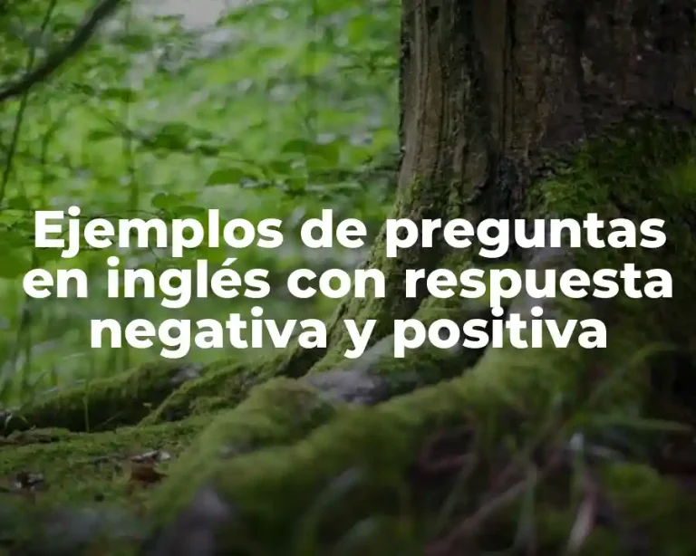 Ejemplos de preguntas en inglés con respuesta negativa y positiva