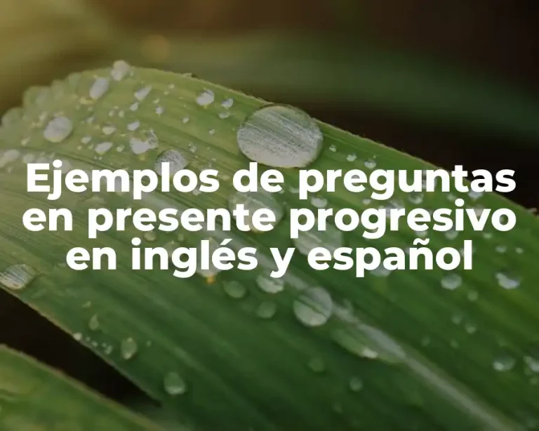 Ejemplos de preguntas en presente progresivo en inglés y español
