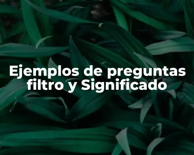 Ejemplos de preguntas filtro y Significado
