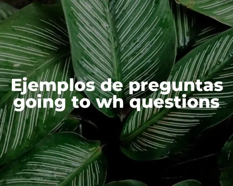 Ejemplos de preguntas going to wh questions