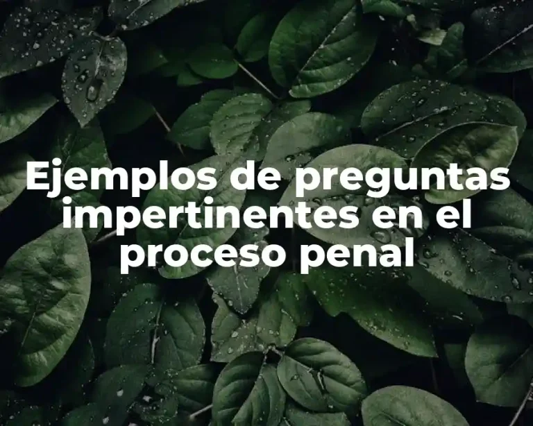 Ejemplos de preguntas impertinentes en el proceso penal