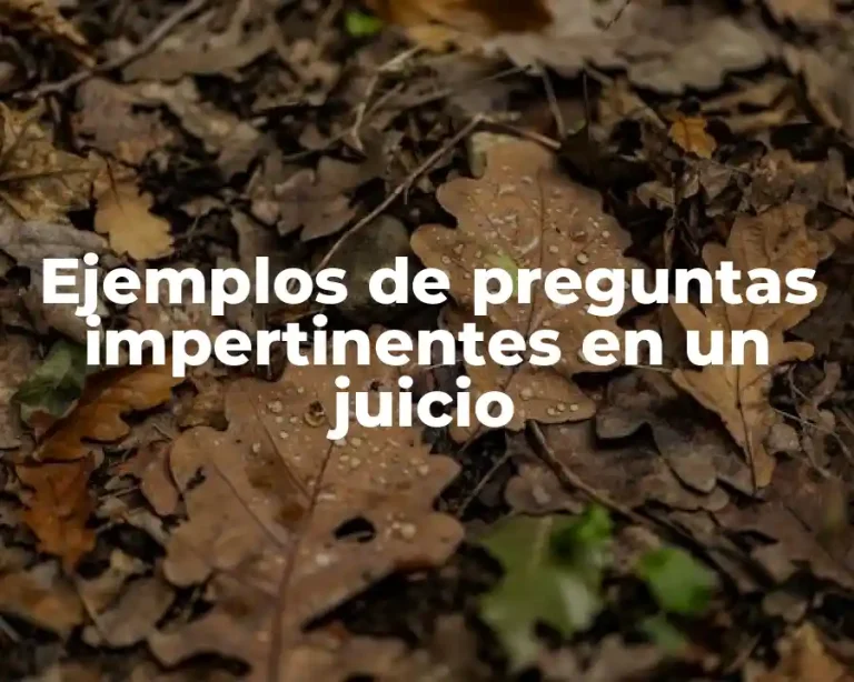 Ejemplos de preguntas impertinentes en un juicio