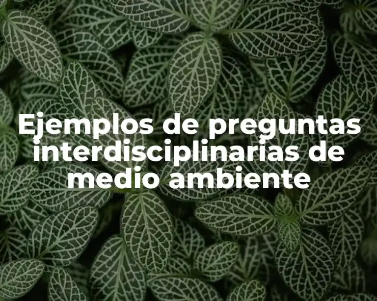 Ejemplos de preguntas interdisciplinarias de medio ambiente