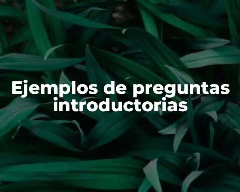 Ejemplos de preguntas introductorias
