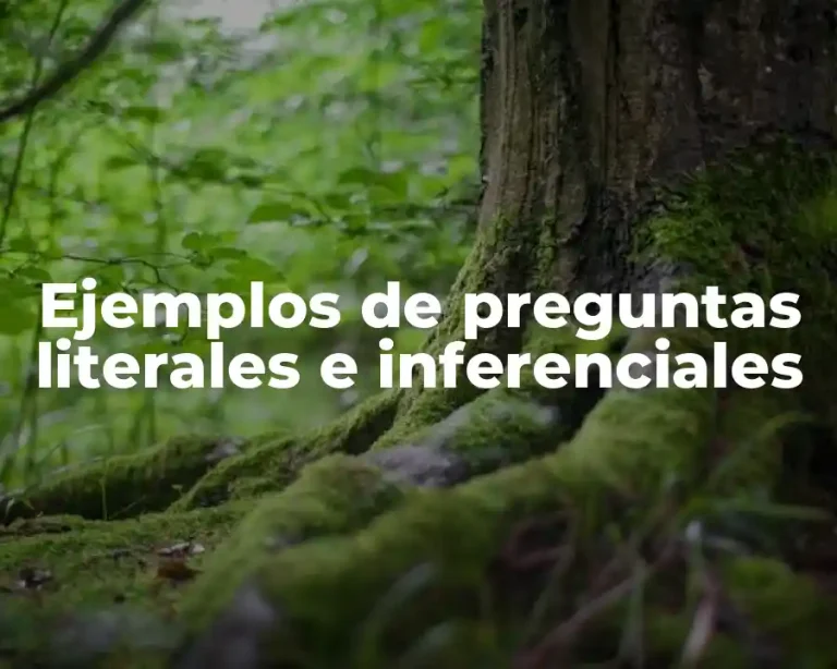 Ejemplos de preguntas literales e inferenciales
