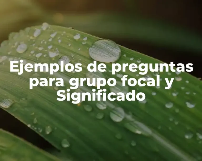 Ejemplos de preguntas para grupo focal y Significado