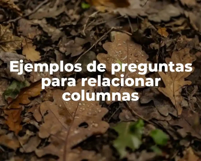 Ejemplos de preguntas para relacionar columnas