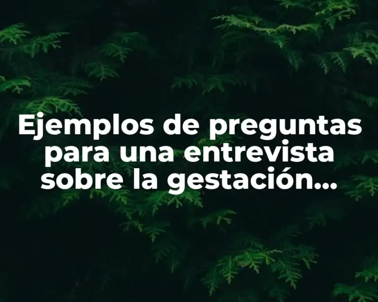 Ejemplos de preguntas para una entrevista sobre la gestación subrogada