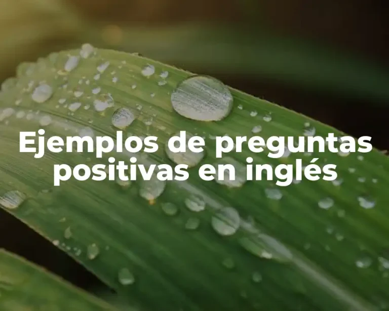 Ejemplos de preguntas positivas en inglés