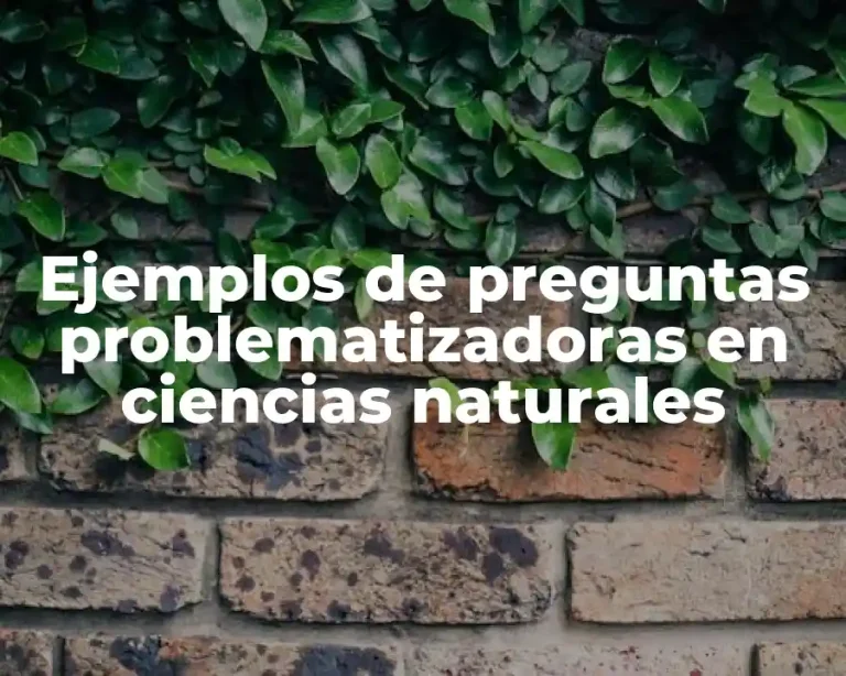 Ejemplos de preguntas problematizadoras en ciencias naturales