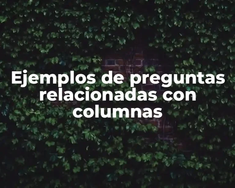 Ejemplos de preguntas relacionadas con columnas