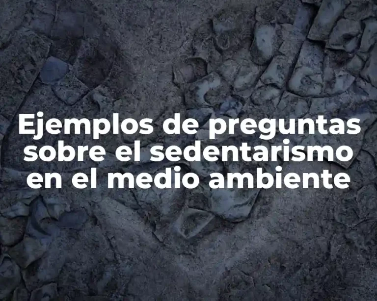 Ejemplos de preguntas sobre el sedentarismo en el medio ambiente