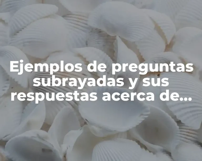 Ejemplos de preguntas subrayadas y sus respuestas acerca de Mozart