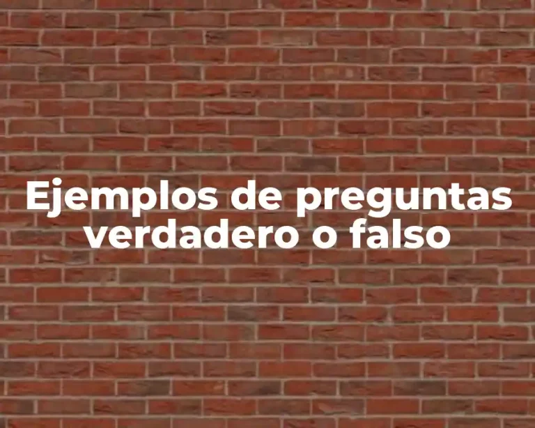 Ejemplos de preguntas verdadero o falso