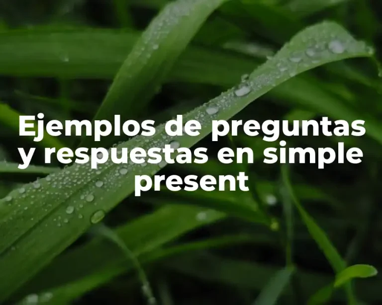 Ejemplos de preguntas y respuestas en simple present