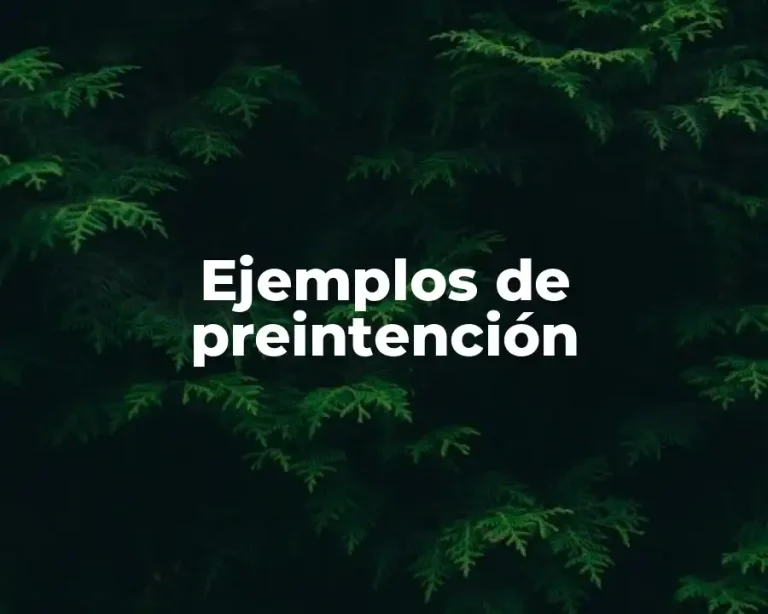 Ejemplos de preintención