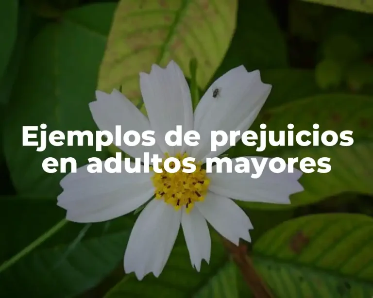 Ejemplos de prejuicios en adultos mayores
