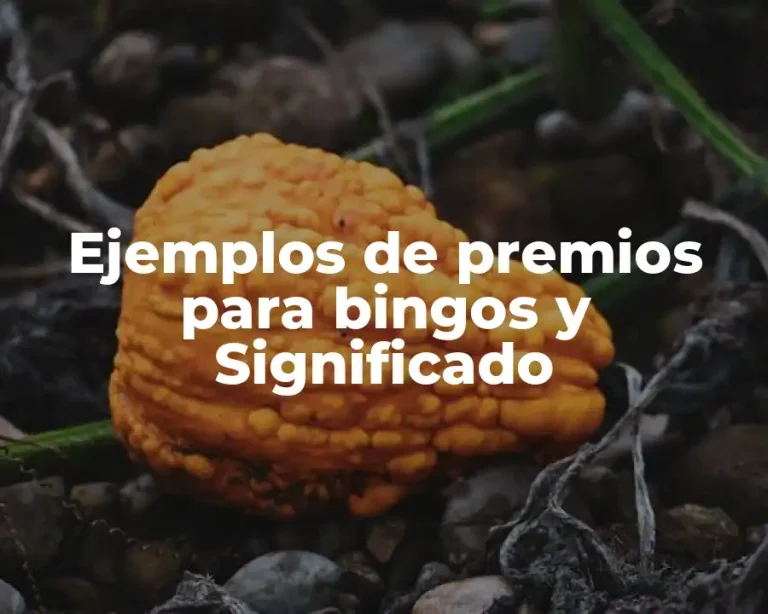 Ejemplos de premios para bingos y Significado