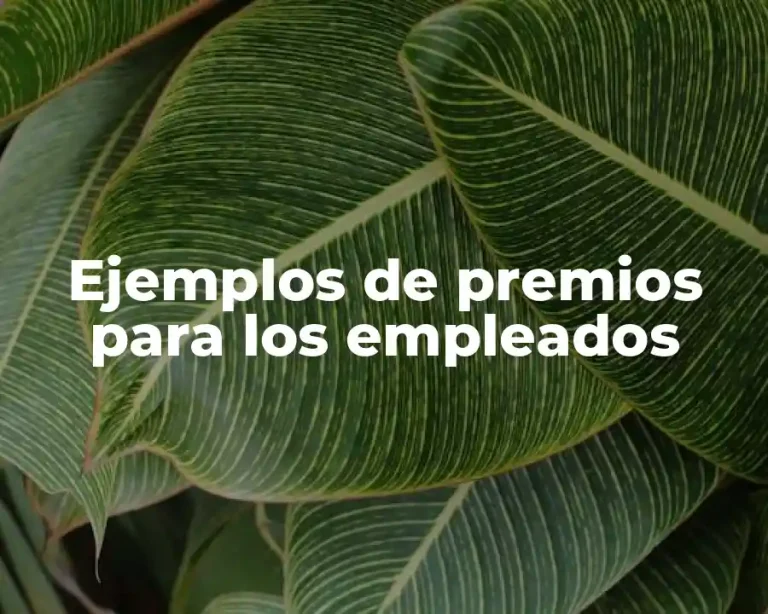 Ejemplos de premios para los empleados