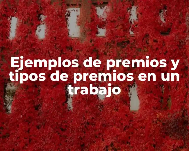 Ejemplos de premios y tipos de premios en un trabajo