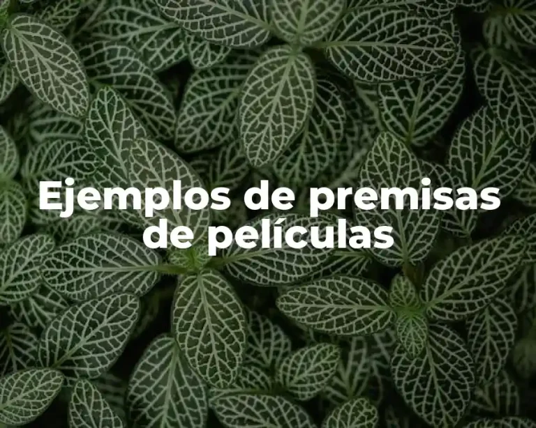 Ejemplos de premisas de películas
