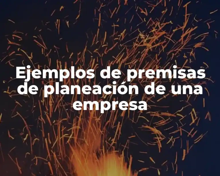 Ejemplos de premisas de planeación de una empresa