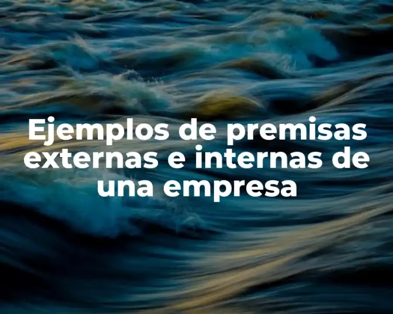 Ejemplos de premisas externas e internas de una empresa