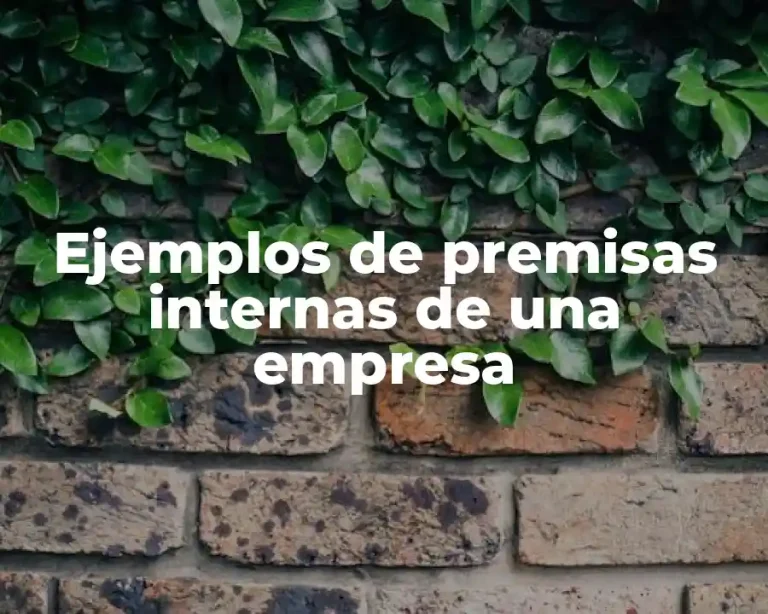 Ejemplos de premisas internas de una empresa