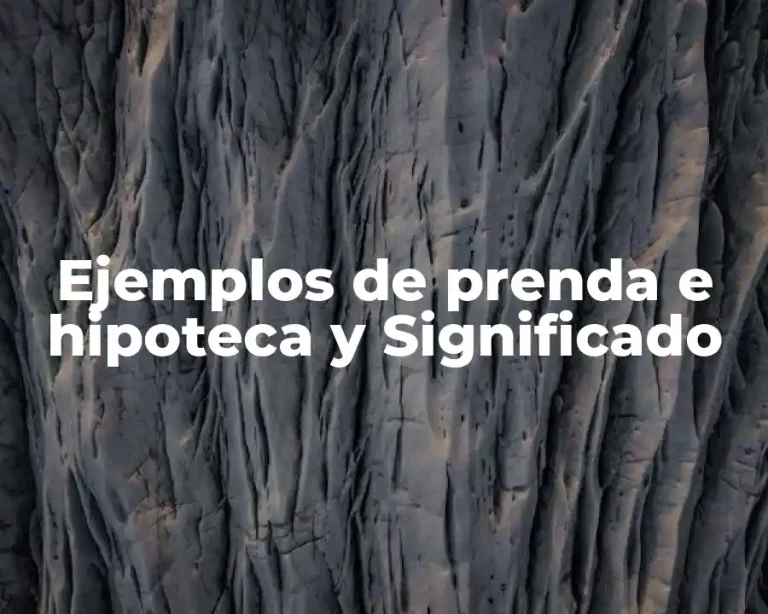 Ejemplos de prenda e hipoteca y Significado