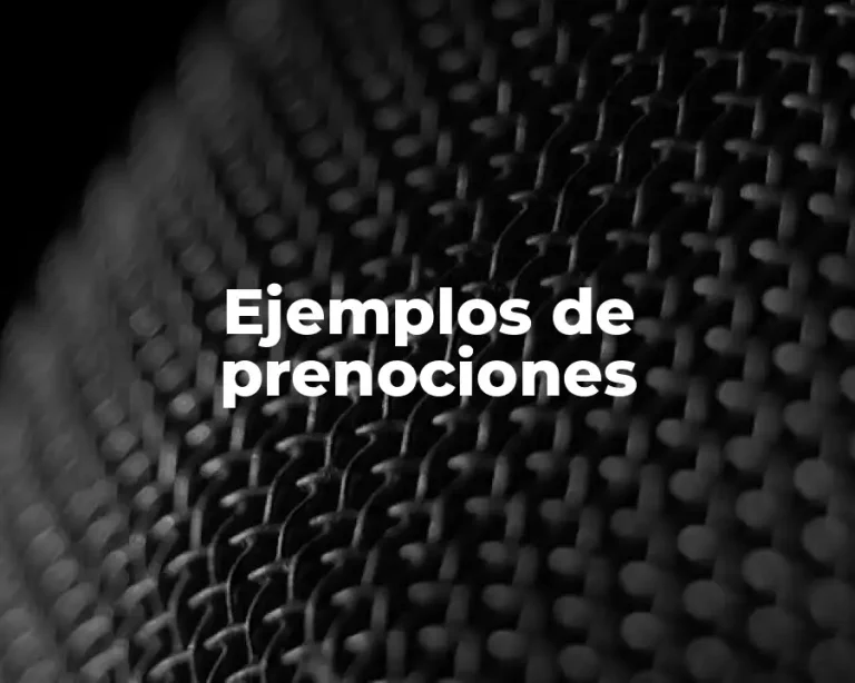 Ejemplos de prenociones