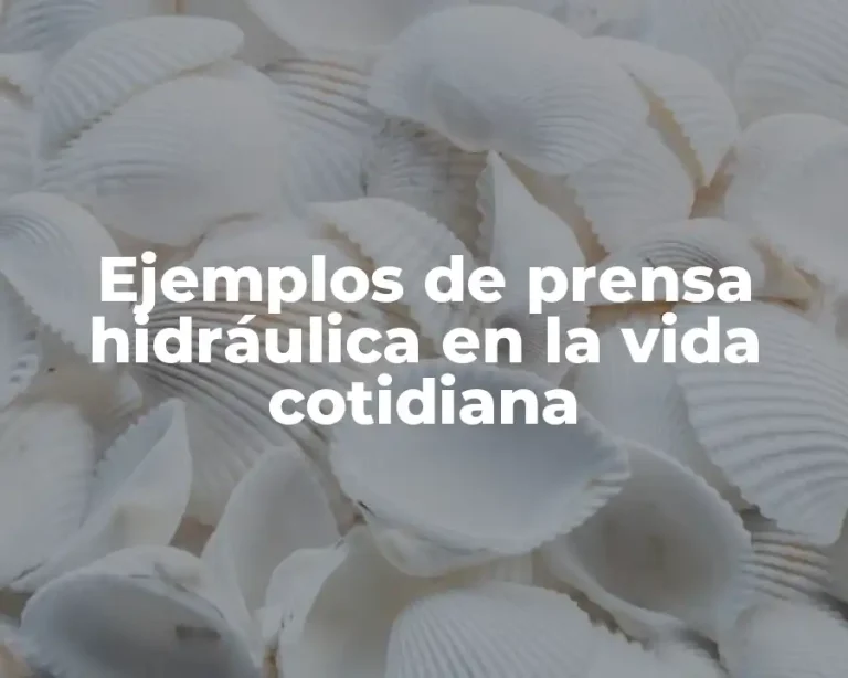 Ejemplos de prensa hidráulica en la vida cotidiana