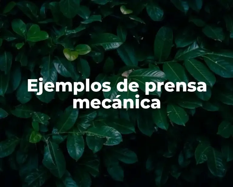 Ejemplos de prensa mecánica
