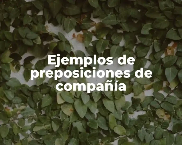 Ejemplos de preposiciones de compañía