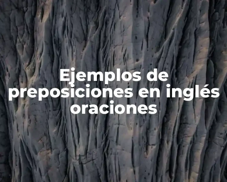 Ejemplos de preposiciones en inglés oraciones