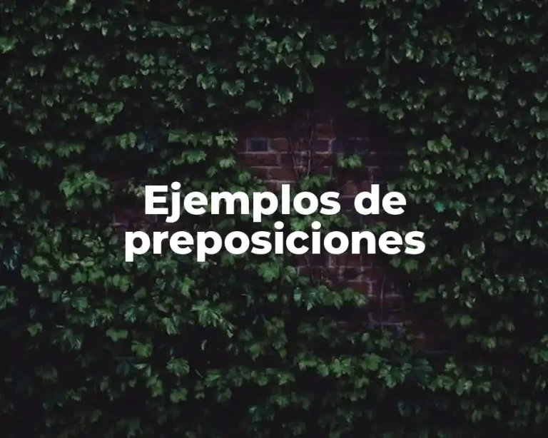 Ejemplos de preposiciones