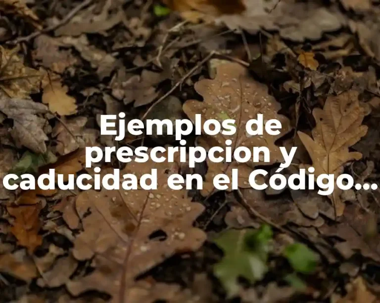 Ejemplos de prescripcion y caducidad en el Código Civil Peruano