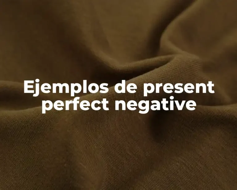 Ejemplos de present perfect negative