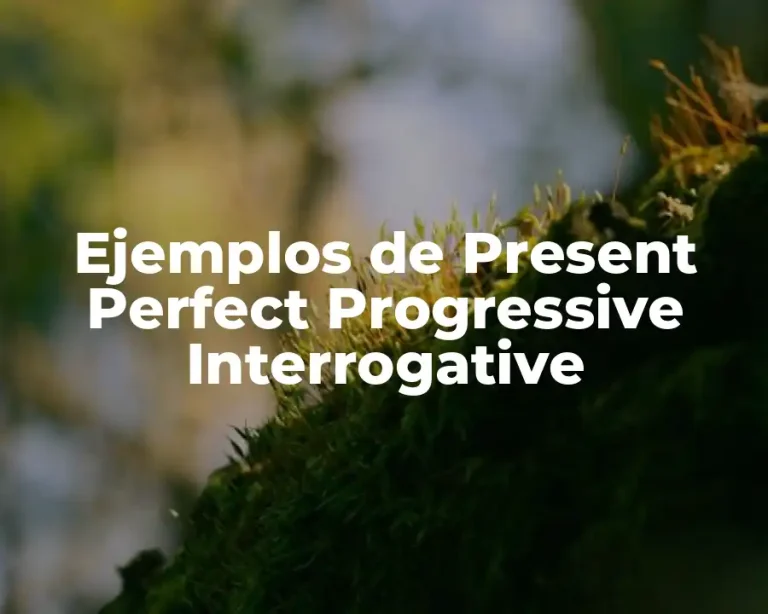 Ejemplos de Present Perfect Progressive Interrogative