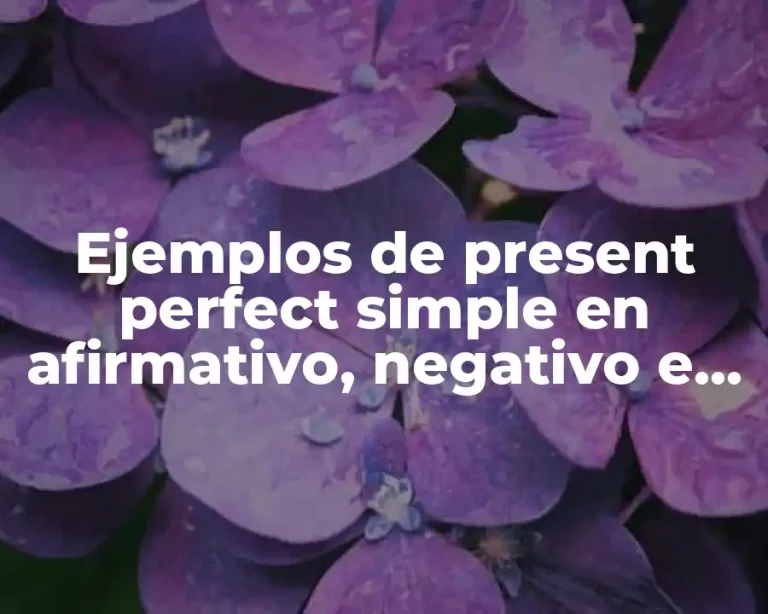 Ejemplos de present perfect simple en afirmativo, negativo e interrogativo