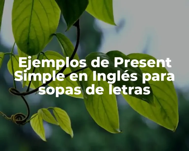 Ejemplos de Present Simple en Inglés para sopas de letras