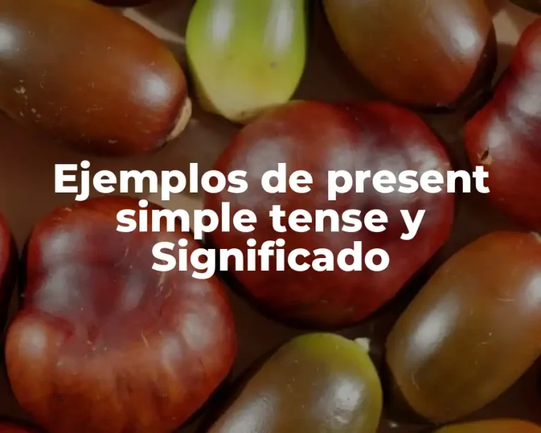Ejemplos de present simple tense y Significado